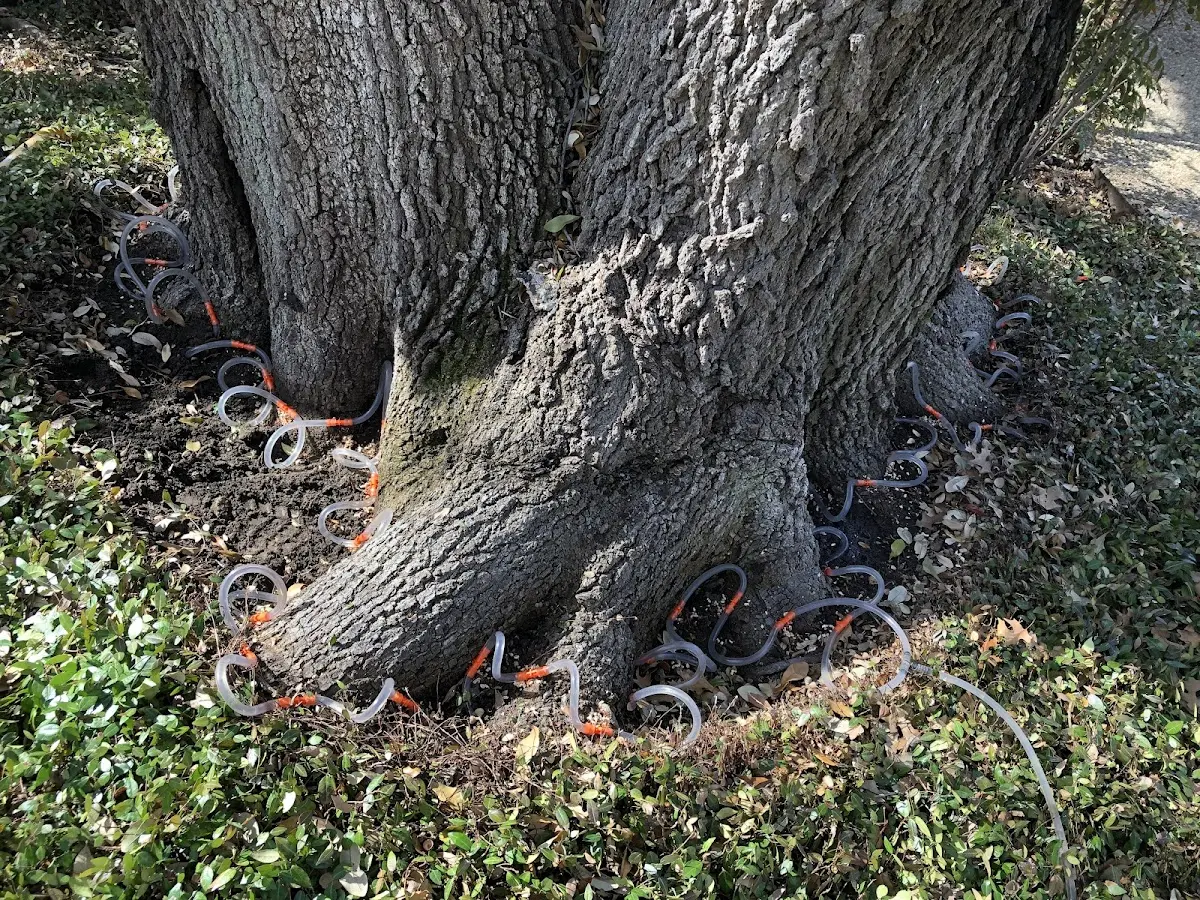 Detailed Shrub and Hedge Trimming job site in Leiter