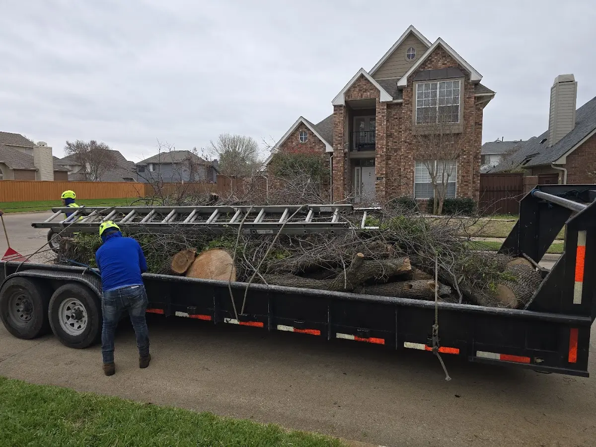 Expert Lot Clearing with proper safety equipment in Leiter